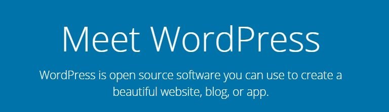 Wordpress 1 1