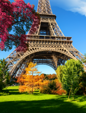 Trees In Park Of Paris In Autumn 28w9y6e.png