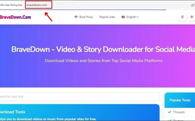 trang web bravedown là được sử dụng tải video livetream trên máy tính 