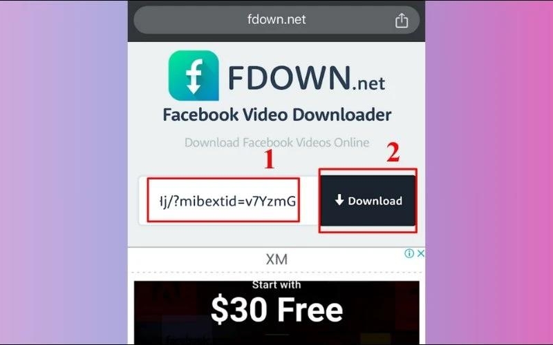 tải video livestream với trang web fdown