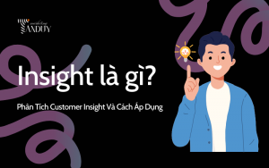 Insight là gì