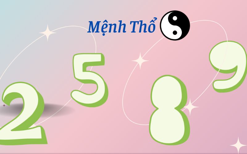 Người mệnh Thổ hợp biển số xe nào