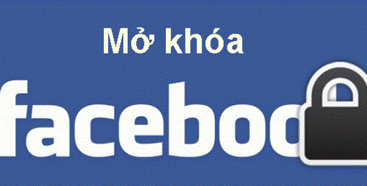 Facebooker Viet Hoang Mang Vi Nhieu Tai Khoan Bi Khoa 1